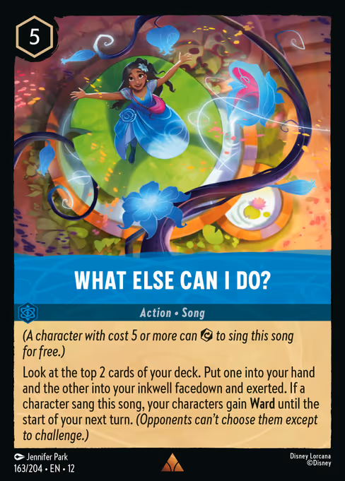 What Else Can I Do? (12 163)