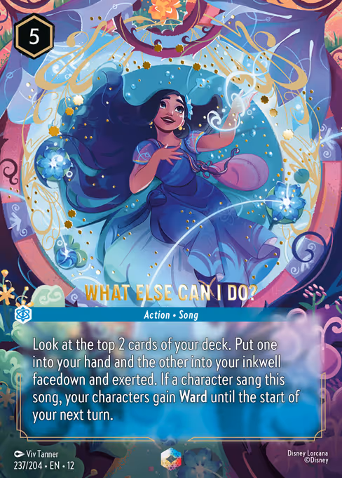 What Else Can I Do? (12 237)