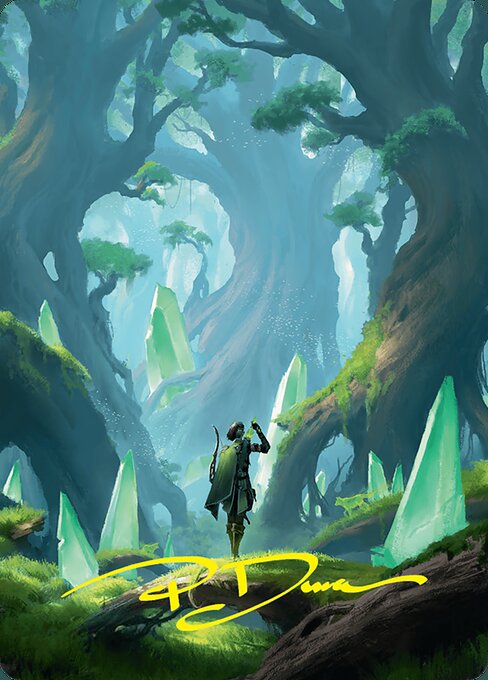 Forest // Forest (AFDN 25)