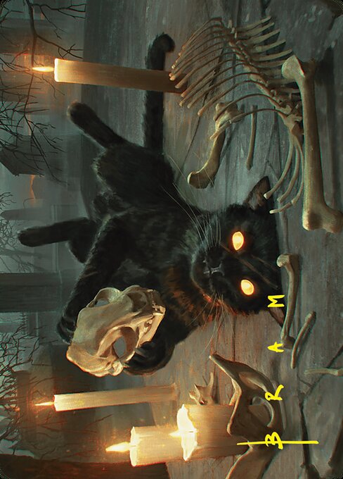 Nine-Lives Familiar // Nine-Lives Familiar (AFDN 8)