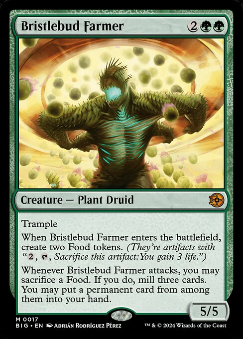 Bristlebud Farmer (BIG 17)