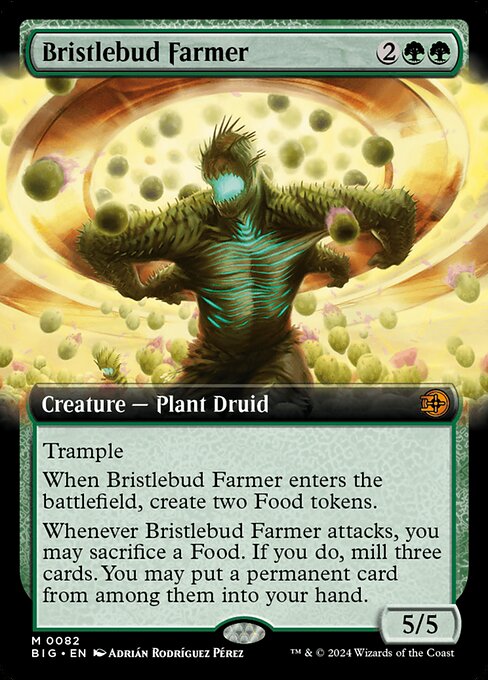 Bristlebud Farmer (BIG 82)