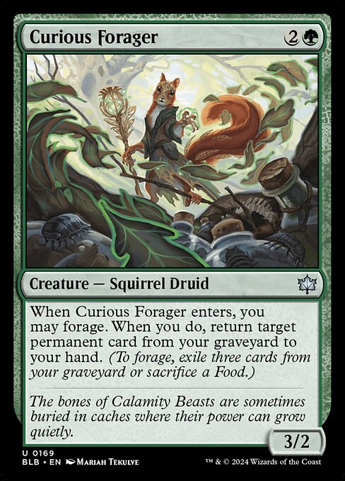 Curious Forager (BLB 169)