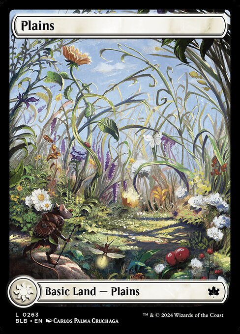Plains (BLB 263)