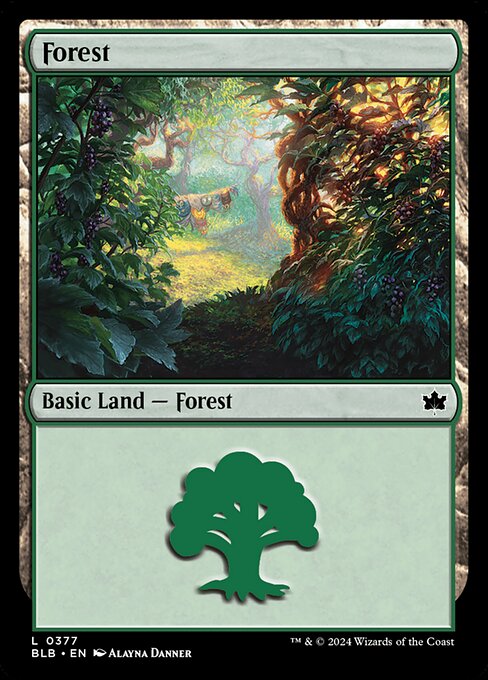 Forest (BLB 377)