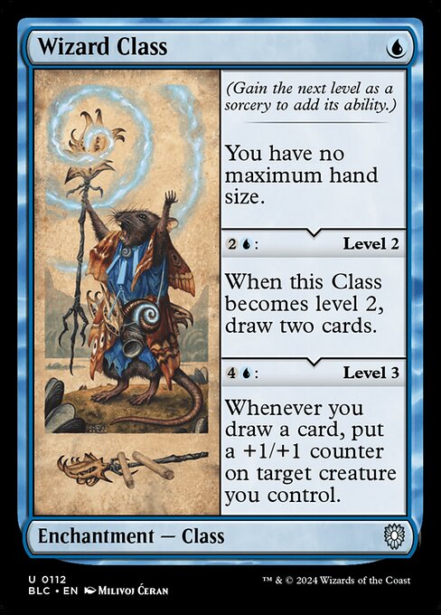 Wizard Class (BLC 112)