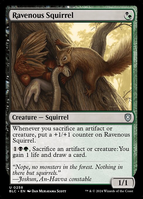 Ravenous Squirrel (BLC 258)