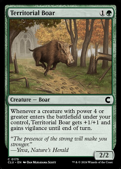 Territorial Boar (CLU 175)
