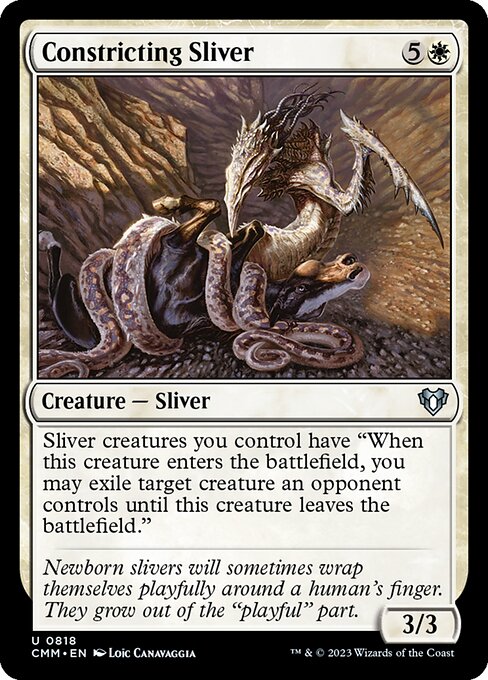 Constricting Sliver (CMM 818)