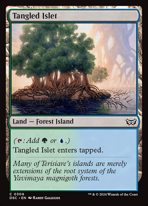 Tangled Islet (DSC 306)