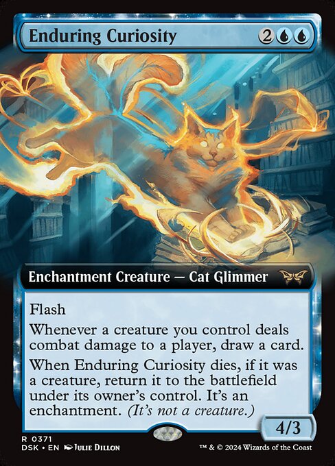 Enduring Curiosity (DSK 371)