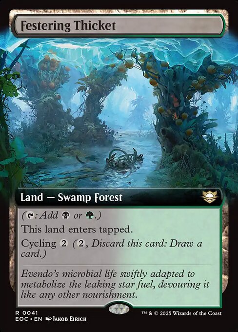 Festering Thicket (EOC 41)