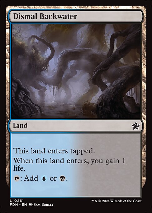 Dismal Backwater (FDN 261)