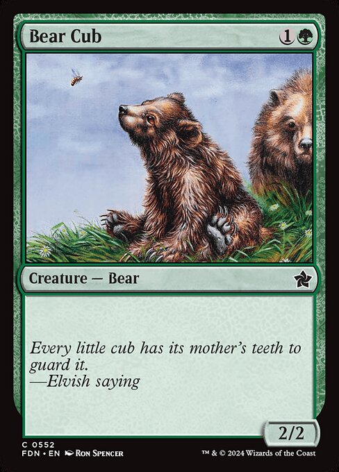 Bear Cub (FDN 552)