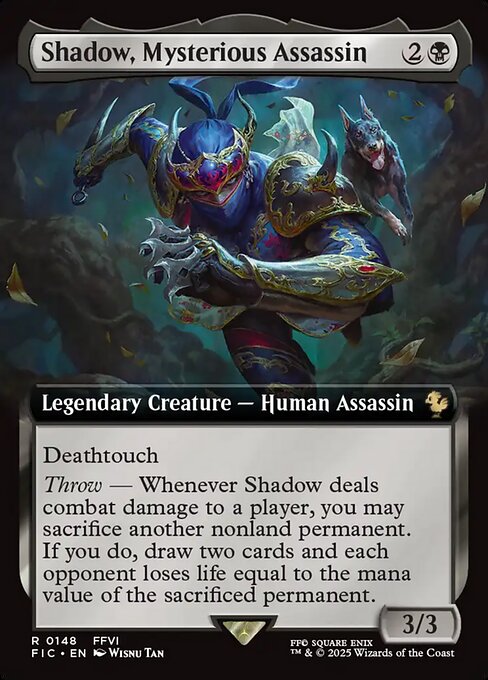 Shadow, Mysterious Assassin (FIC 148)