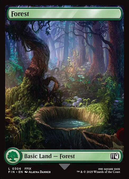 Forest (FIN 306)