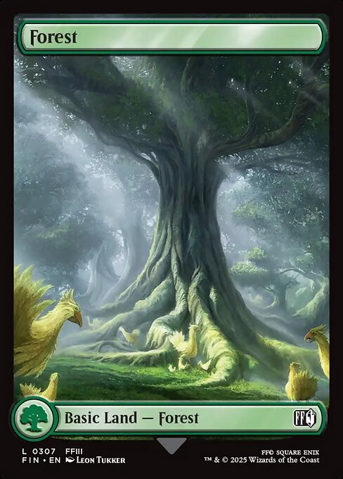 Forest (FIN 307)