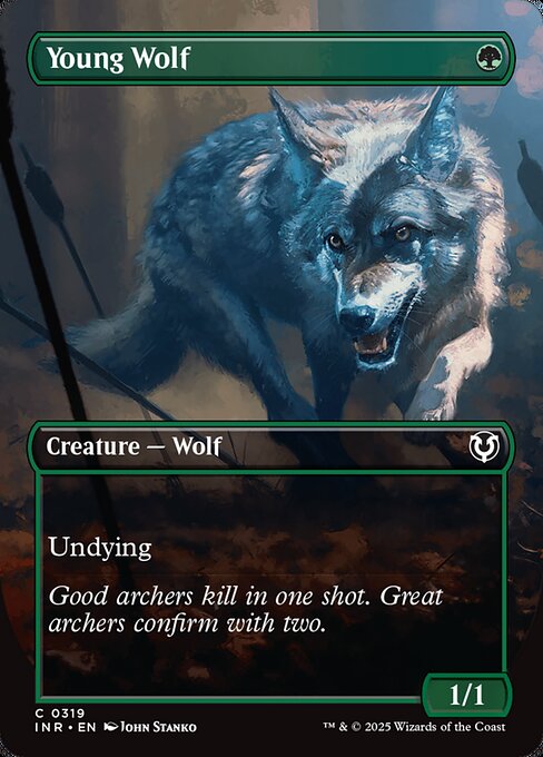 Young Wolf (INR 319)