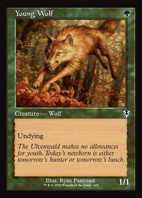 Young Wolf (INR 425)