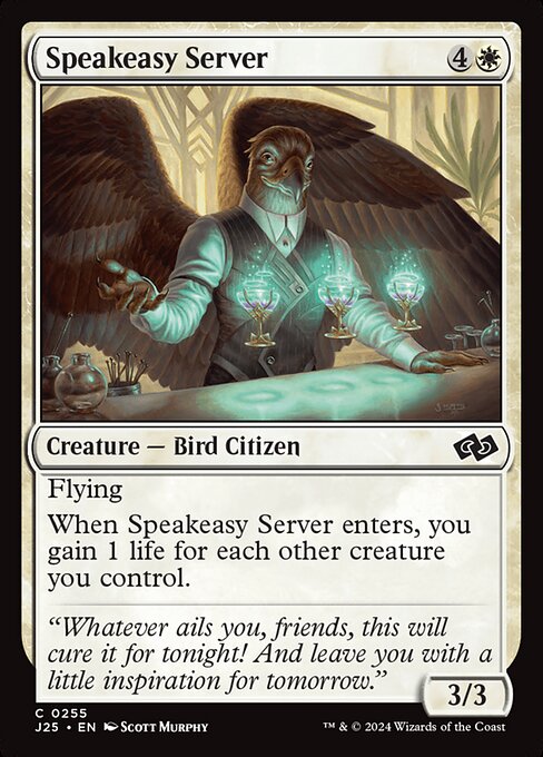 Speakeasy Server (J25 255)