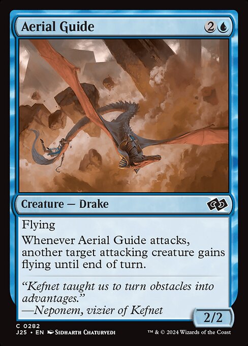 Aerial Guide (J25 282)