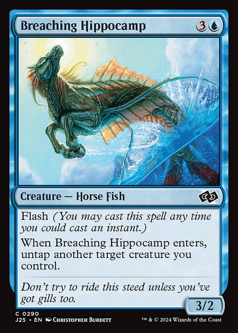 Breaching Hippocamp (J25 290)