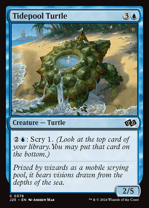 Tidepool Turtle (J25 376)