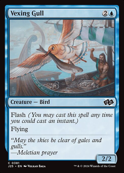 Vexing Gull (J25 381)