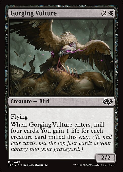 Gorging Vulture (J25 449)