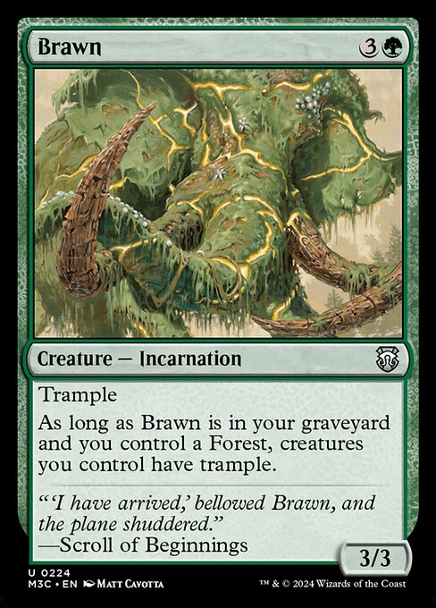 Brawn (M3C 224)
