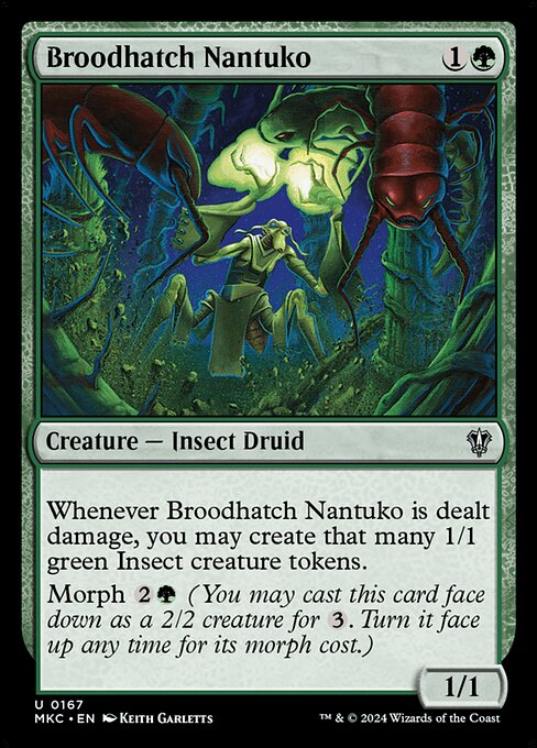 Broodhatch Nantuko (MKC 167)