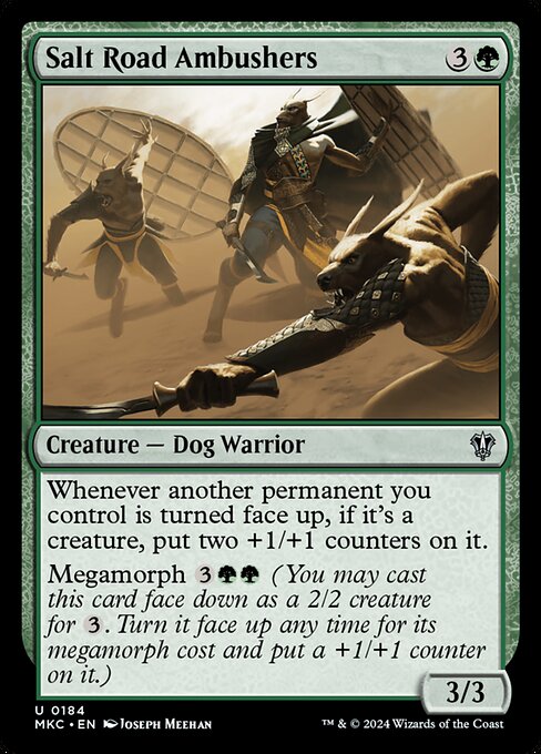 Salt Road Ambushers (MKC 184)
