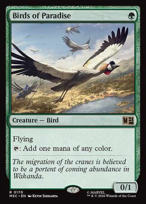 Birds of Paradise (MSC 170)