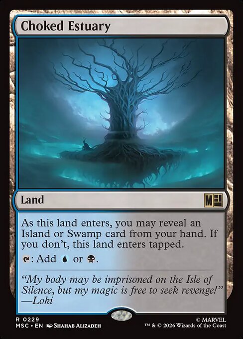 Choked Estuary (MSC 229)