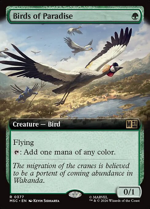 Birds of Paradise (MSC 377)