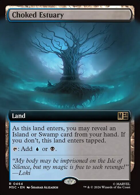 Choked Estuary (MSC 464)