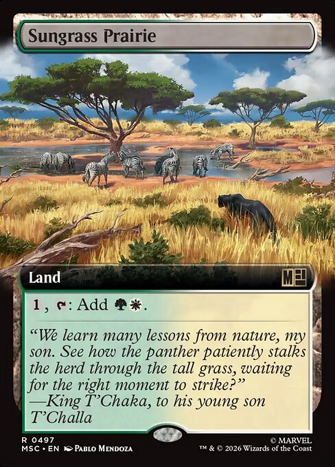 Sungrass Prairie (MSC 497)