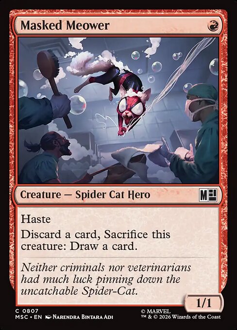 Masked Meower (MSC 807)