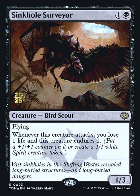Sinkhole Surveyor (PTDM 93s)