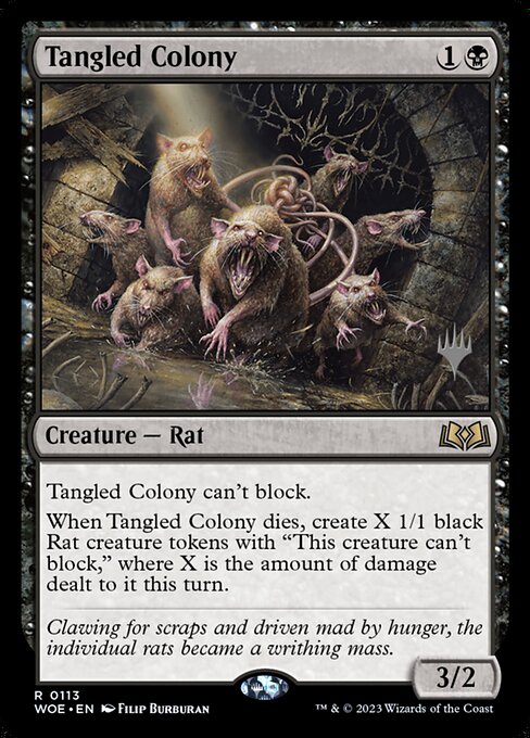 Tangled Colony (PWOE 113p)