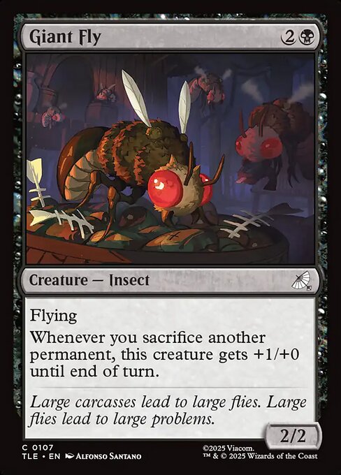 Giant Fly (TLE 107)