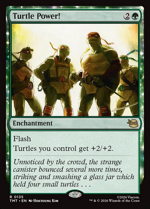 Turtle Power! (TMT 135)