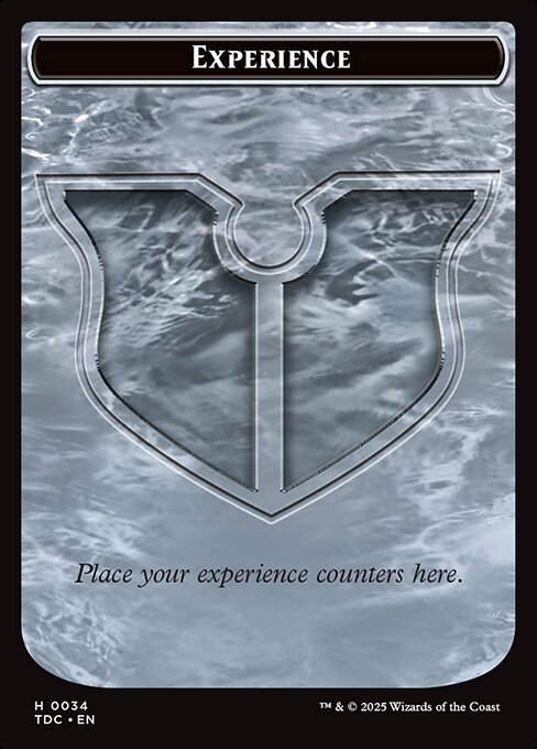 Experience (TTDC 34)
