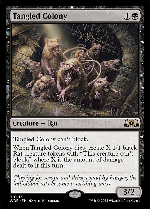 Tangled Colony (WOE 113)