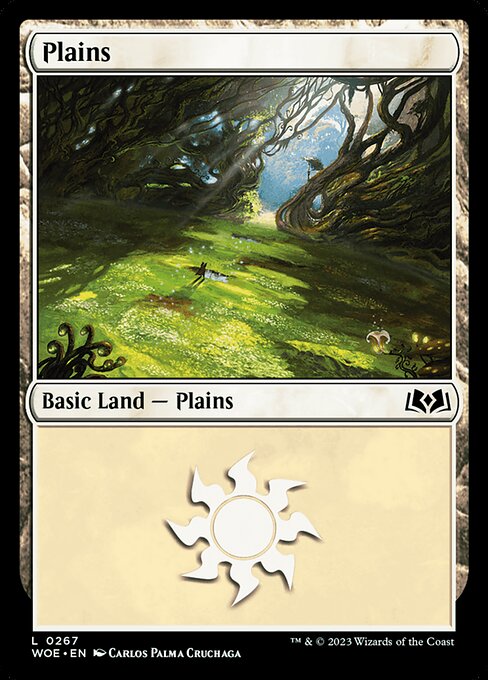 Plains (WOE 267)