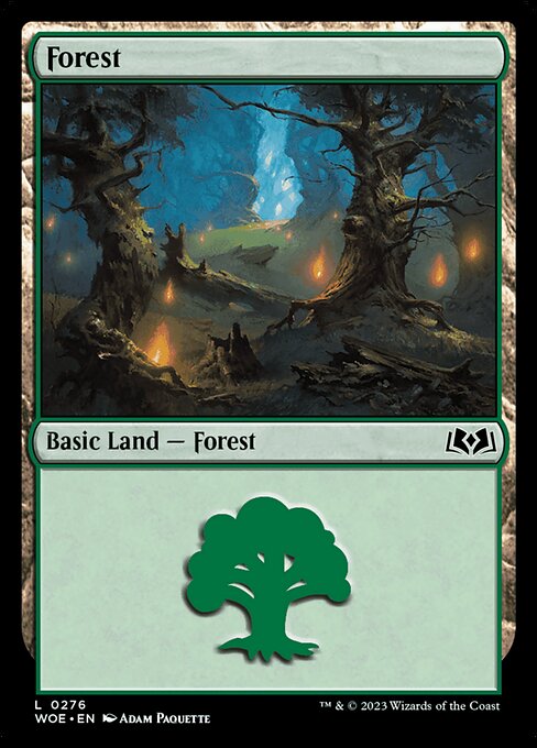 Forest (WOE 276)
