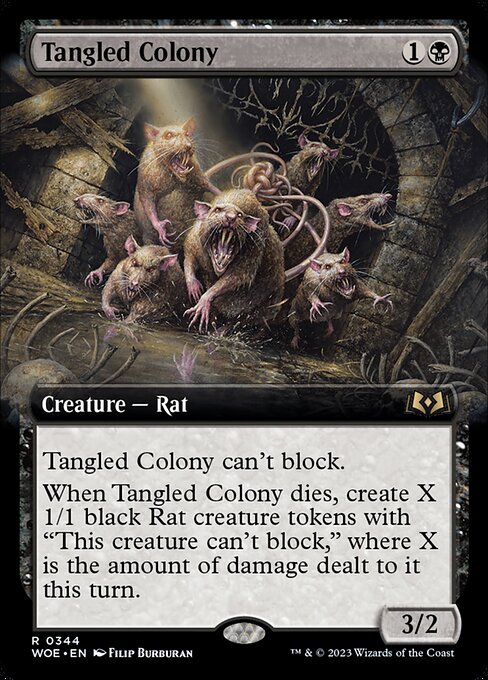 Tangled Colony (WOE 344)