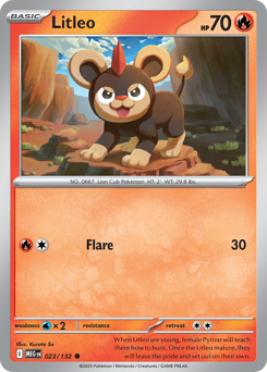Litleo (MEG 23/132)