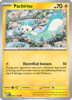Pachirisu (MEG 51/132)