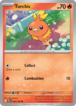 Torchic (DRI 40/182)
